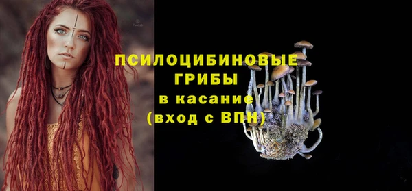 гашик Волоколамск